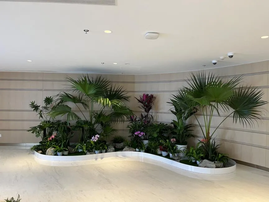 宁波江北绿化养护专业,打造城市绿色风景线